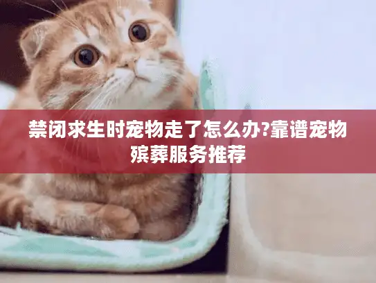 禁闭求生时宠物走了怎么办?靠谱宠物殡葬服务推荐