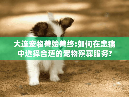 大连宠物善始善终:如何在悲痛中选择合适的宠物殡葬服务?