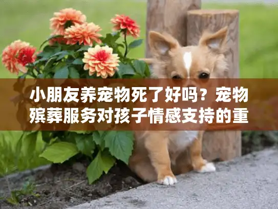 小朋友养宠物死了好吗？宠物殡葬服务对孩子情感支持的重要性