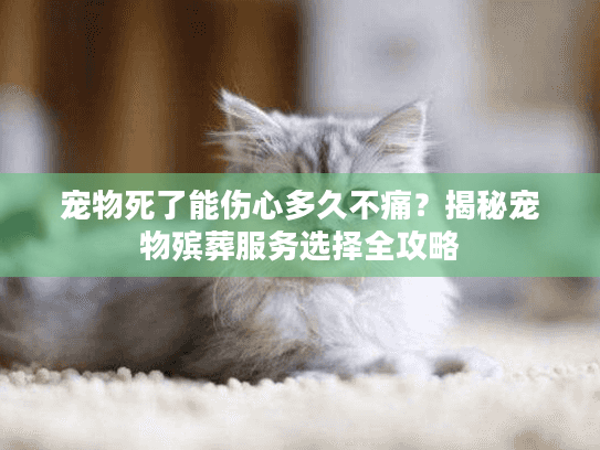 宠物死了能伤心多久不痛？揭秘宠物殡葬服务选择全攻略