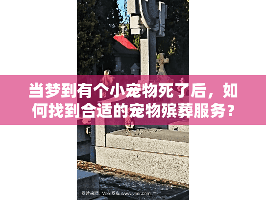 当梦到有个小宠物死了后，如何找到合适的宠物殡葬服务？