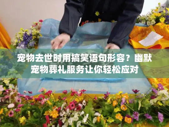 宠物去世时用搞笑语句形容？幽默宠物葬礼服务让你轻松应对