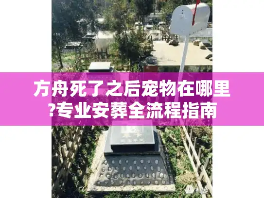 方舟死了之后宠物在哪里?专业安葬全流程指南