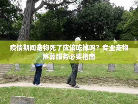 疫情期间宠物死了应该吃掉吗？专业宠物殡葬服务必要指南