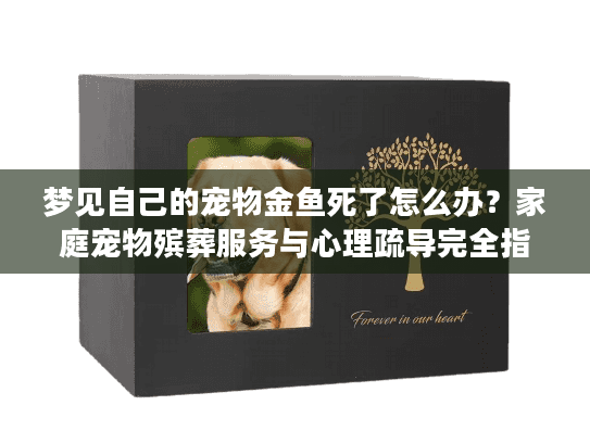 梦见自己的宠物金鱼死了怎么办？家庭宠物殡葬服务与心理疏导完全指南