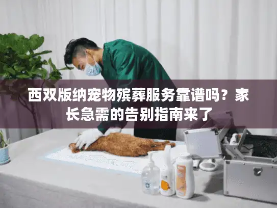 西双版纳宠物殡葬服务靠谱吗？家长急需的告别指南来了