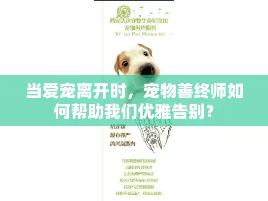当爱宠离开时，宠物善终师如何帮助我们优雅告别？