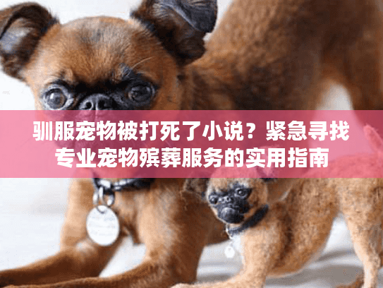 驯服宠物被打死了小说？紧急寻找专业宠物殡葬服务的实用指南