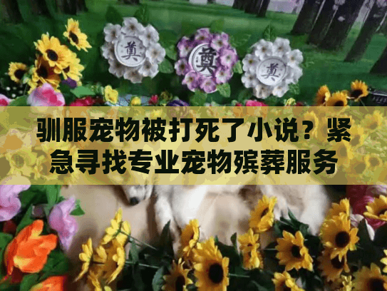 驯服宠物被打死了小说？紧急寻找专业宠物殡葬服务的实用指南