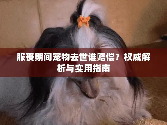 服丧期间宠物去世谁赔偿？权威解析与实用指南