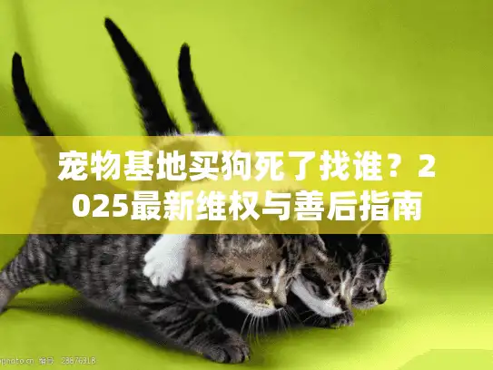 宠物基地买狗死了找谁？2025最新维权与善后指南