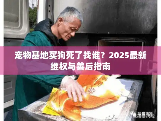 宠物基地买狗死了找谁？2025最新维权与善后指南