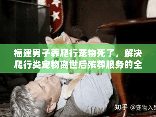 福建男子养爬行宠物死了,解决爬行类宠物离世后殡葬服务的全面指南 福建男子养爬行宠物死了,解决爬行类宠物离世后殡葬服务的全面指南