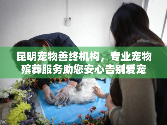 昆明宠物善终机构，专业宠物殡葬服务助您安心告别爱宠