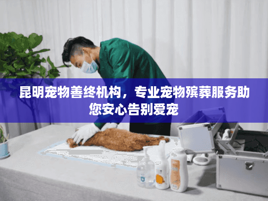 昆明宠物善终机构，专业宠物殡葬服务助您安心告别爱宠