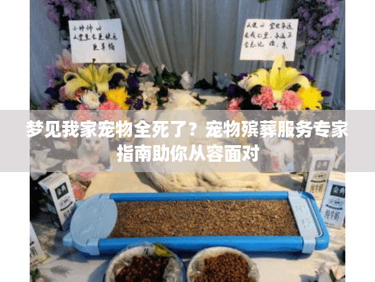 梦见我家宠物全死了？宠物殡葬服务专家指南助你从容面对