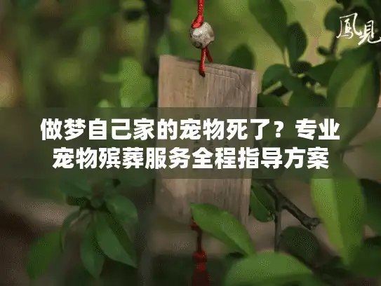做梦自己家的宠物死了？专业宠物殡葬服务全程指导方案