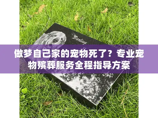 做梦自己家的宠物死了？专业宠物殡葬服务全程指导方案