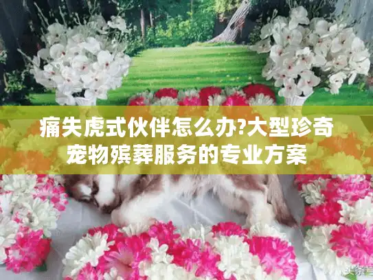 痛失虎式伙伴怎么办?大型珍奇宠物殡葬服务的专业方案