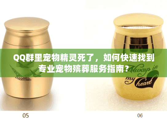 QQ群里宠物精灵死了，如何快速找到专业宠物殡葬服务指南？