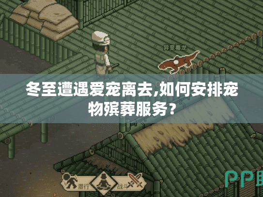 冬至遭遇爱宠离去,如何安排宠物殡葬服务？