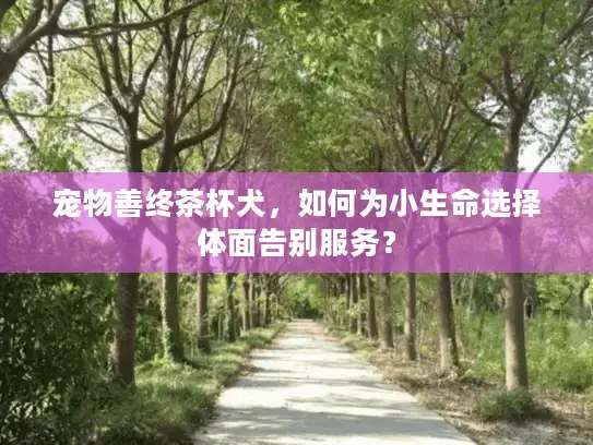 宠物善终茶杯犬,如何为小生命选择体面告别服务? 宠物善终茶杯犬,如何为小生命选择体面告别服务?