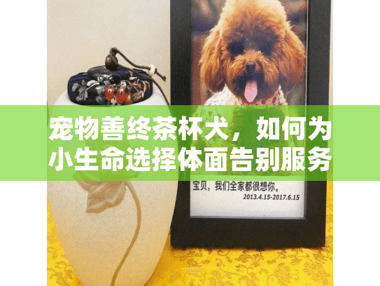 宠物善终茶杯犬,如何为小生命选择体面告别服务? 宠物善终茶杯犬,如何为小生命选择体面告别服务?
