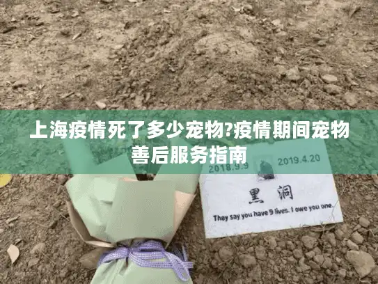 上海疫情死了多少宠物?疫情期间宠物善后服务指南 上海疫情死了多少宠物?疫情期间宠物善后服务指南