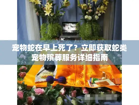 宠物蛇在早上死了?立即获取蛇类宠物殡葬服务详细指南 宠物蛇在早上死了?立即获取蛇类宠物殡葬服务详细指南