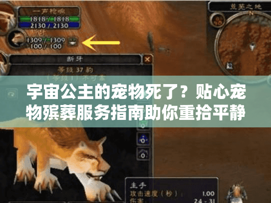 宇宙公主的宠物死了？贴心宠物殡葬服务指南助你重拾平静