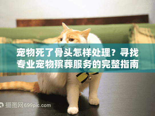 宠物死了骨头怎样处理?寻找专业宠物殡葬服务的完整指南 宠物死了骨头怎样处理?寻找专业宠物殡葬服务的完整指南