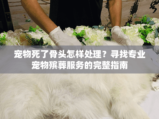 宠物死了骨头怎样处理?寻找专业宠物殡葬服务的完整指南 宠物死了骨头怎样处理?寻找专业宠物殡葬服务的完整指南