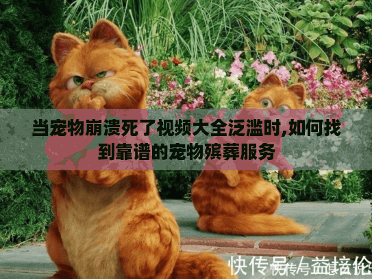 当宠物崩溃死了视频大全泛滥时,如何找到靠谱的宠物殡葬服务 当宠物崩溃死了视频大全泛滥时,如何找到靠谱的宠物殡葬服务