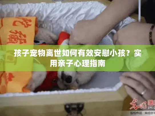 孩子宠物离世如何有效安慰小孩？实用亲子心理指南