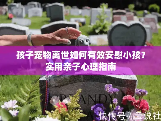 孩子宠物离世如何有效安慰小孩？实用亲子心理指南