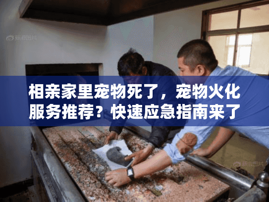 相亲家里宠物死了，宠物火化服务推荐？快速应急指南来了