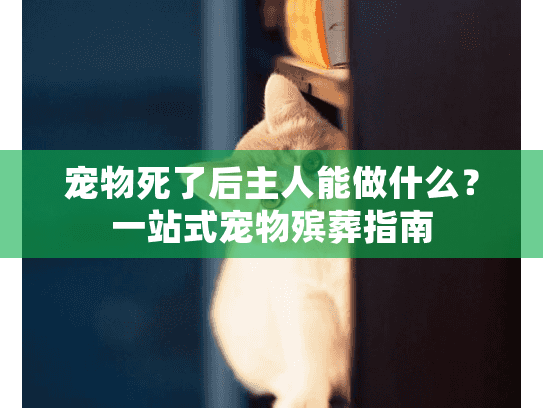 宠物死了后主人能做什么？一站式宠物殡葬指南