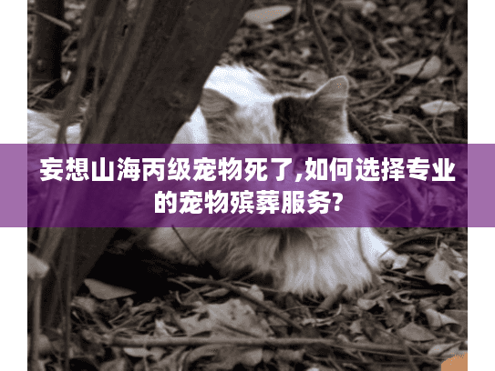 妄想山海丙级宠物死了,如何选择专业的宠物殡葬服务? 妄想山海丙级宠物死了,如何选择专业的宠物殡葬服务?