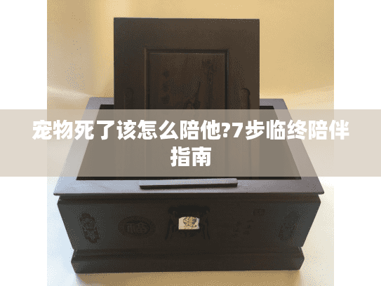 宠物死了该怎么陪他?7步临终陪伴指南