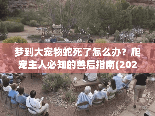 梦到大宠物蛇死了怎么办?爬宠主人必知的善后指南(2025最新) 梦到大宠物蛇死了怎么办?爬宠主人必知的善后指南(2025最新)