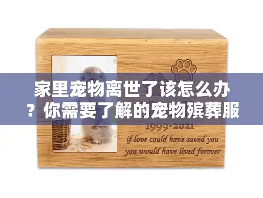 家里宠物离世了该怎么办？你需要了解的宠物殡葬服务指南