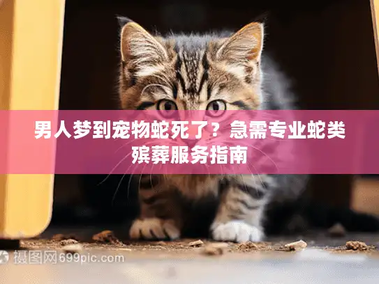 男人梦到宠物蛇死了?急需专业蛇类殡葬服务指南 男人梦到宠物蛇死了?急需专业蛇类殡葬服务指南