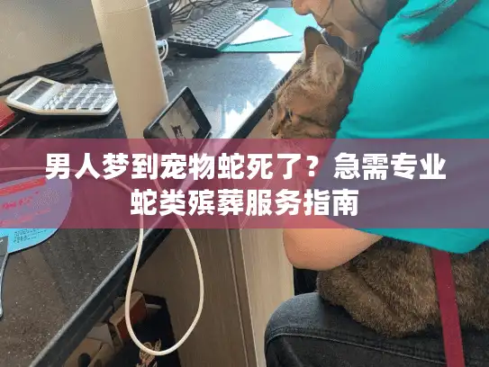 男人梦到宠物蛇死了?急需专业蛇类殡葬服务指南 男人梦到宠物蛇死了?急需专业蛇类殡葬服务指南