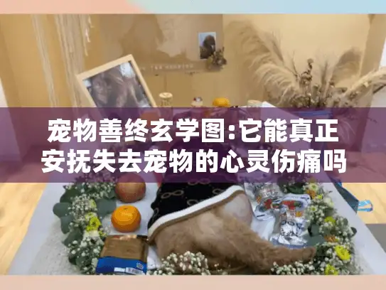 宠物善终玄学图:它能真正安抚失去宠物的心灵伤痛吗? 宠物善终玄学图:它能真正安抚失去宠物的心灵伤痛吗?