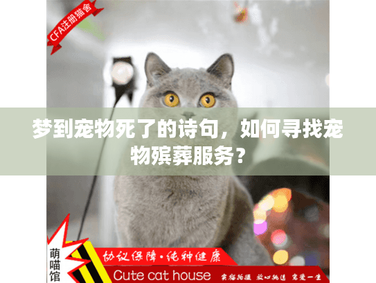 梦到宠物死了的诗句,如何寻找宠物殡葬服务? 梦到宠物死了的诗句,如何寻找宠物殡葬服务?