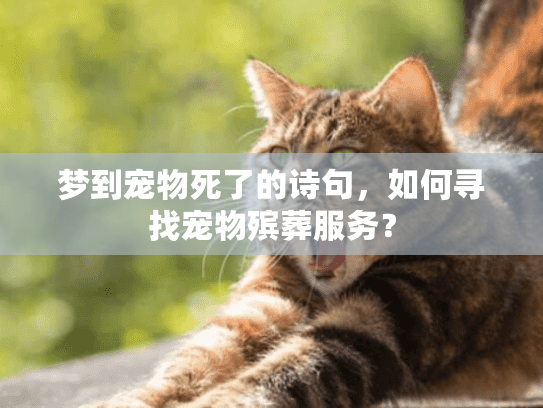 梦到宠物死了的诗句,如何寻找宠物殡葬服务? 梦到宠物死了的诗句,如何寻找宠物殡葬服务?