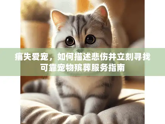 痛失爱宠,如何描述悲伤并立刻寻找可靠宠物殡葬服务指南 痛失爱宠,如何描述悲伤并立刻寻找可靠宠物殡葬服务指南