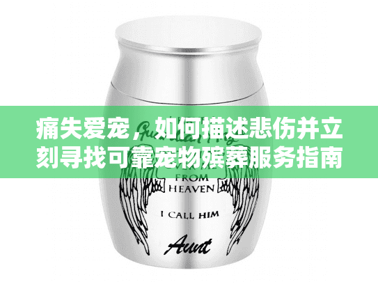 痛失爱宠,如何描述悲伤并立刻寻找可靠宠物殡葬服务指南 痛失爱宠,如何描述悲伤并立刻寻找可靠宠物殡葬服务指南