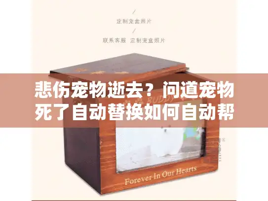 悲伤宠物逝去?问道宠物死了自动替换如何自动帮你安排专业殡葬服务 悲伤宠物逝去?问道宠物死了自动替换如何自动帮你安排专业殡葬服务