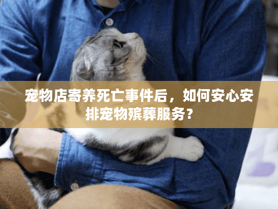 宠物店寄养死亡事件后，如何安心安排宠物殡葬服务？
